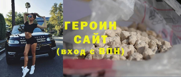 гашик Алексин