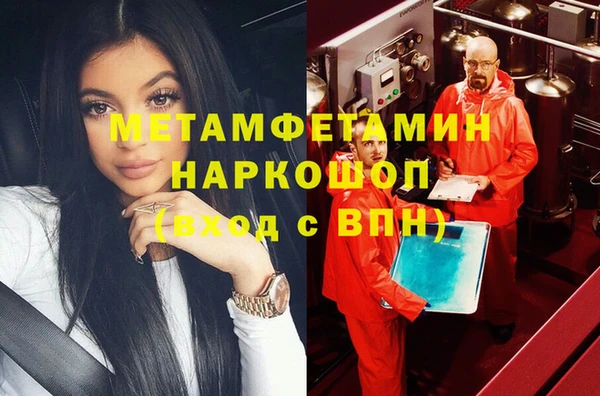 гашик Алексин