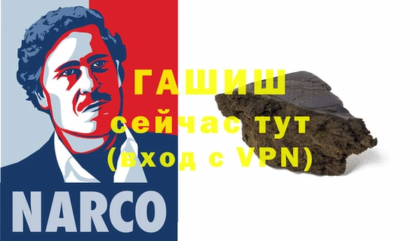 гашик Алексин