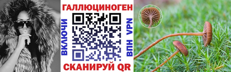 Псилоцибиновые грибы Psilocybine cubensis Тулун